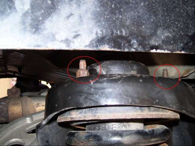 rear_top_nuts2.jpg