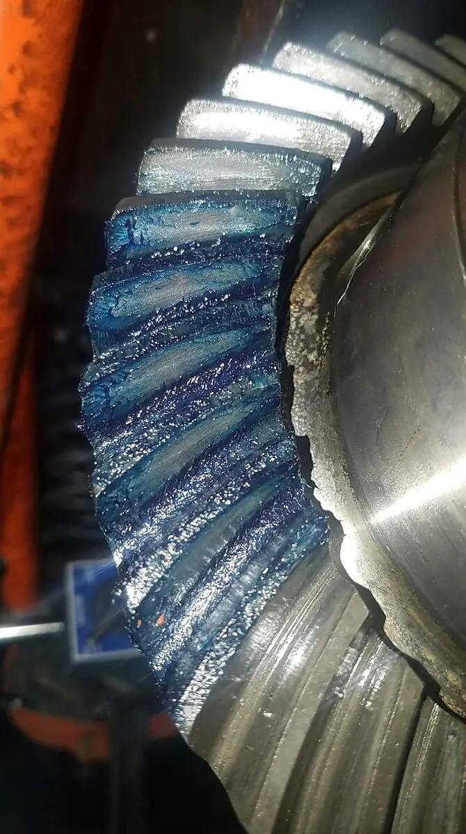 received_270882714646174.jpeg