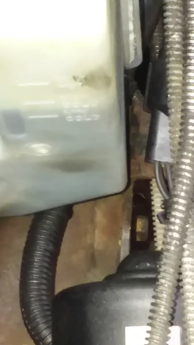 Resi over frame close up.jpg