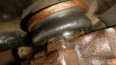 RightDustBoot.jpg