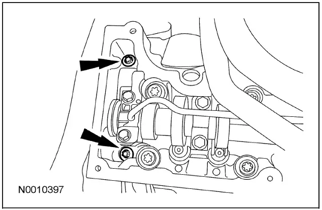 RightHeadM8.jpg