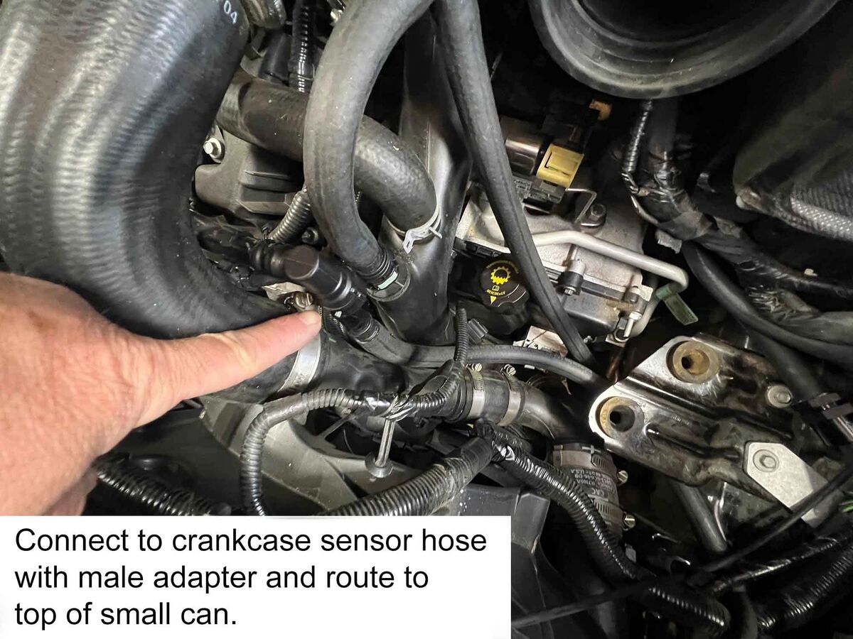 rxp-transverse-ecoboost-08.jpg