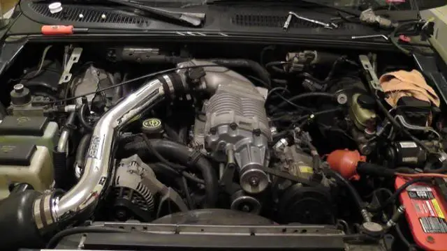 S1960031.jpg