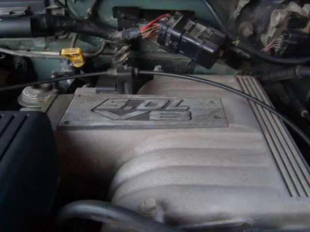 S8003471.jpg