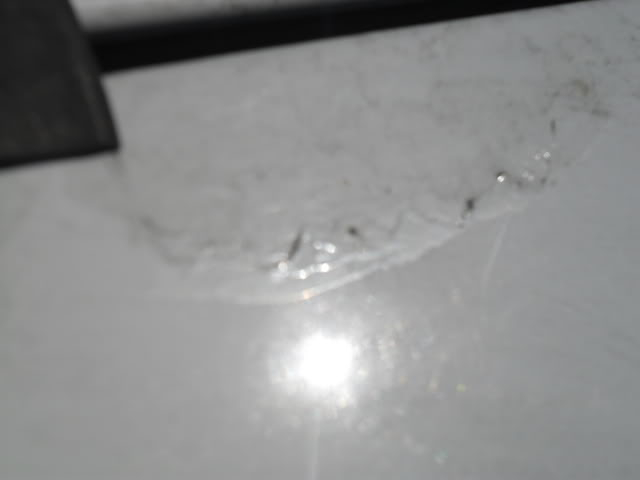 SAM_0400.jpg