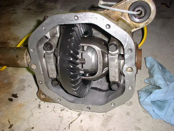 SANY0011.jpg