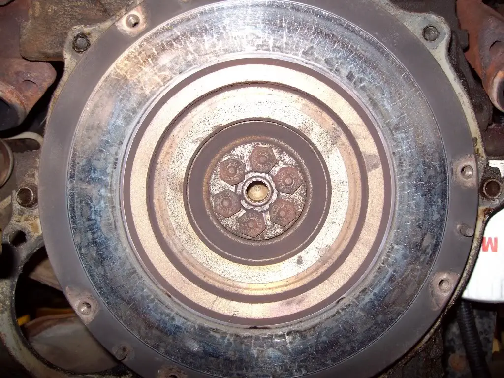 SANY0259.jpg