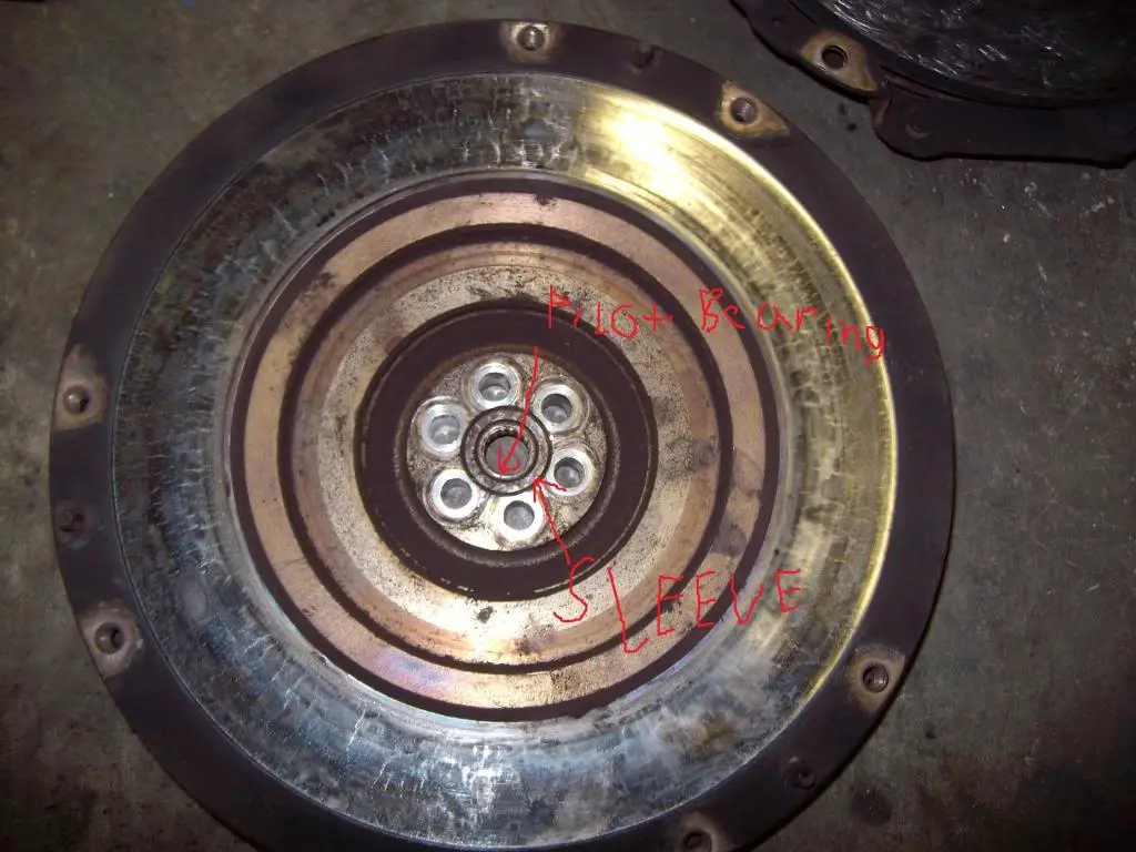 SANY0260a.jpg