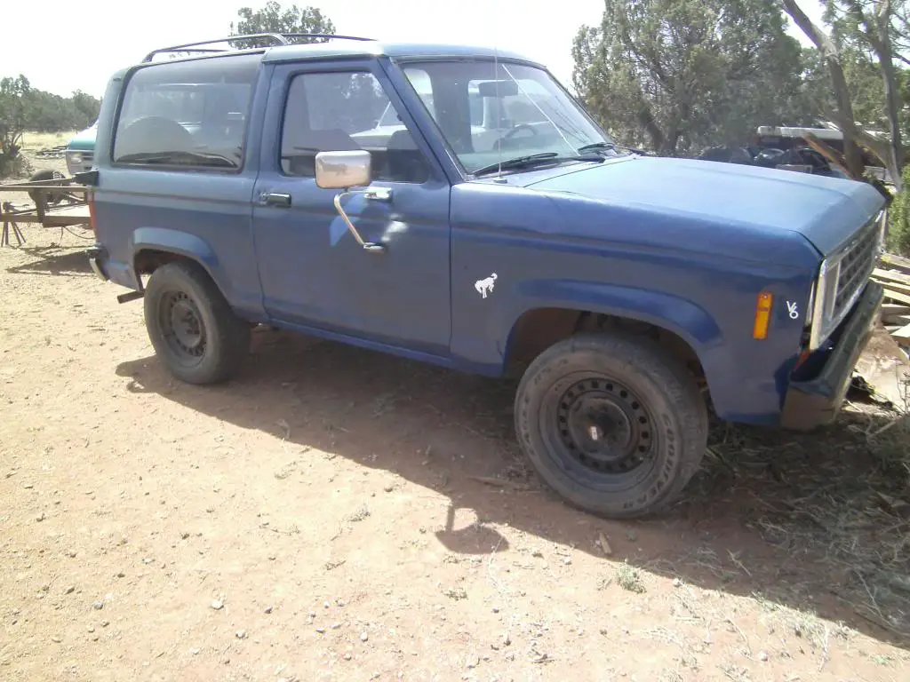 SANY0278.jpg