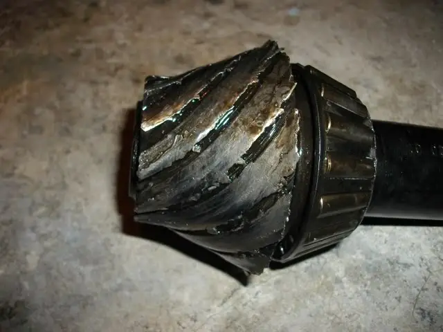 SANY0419.jpg