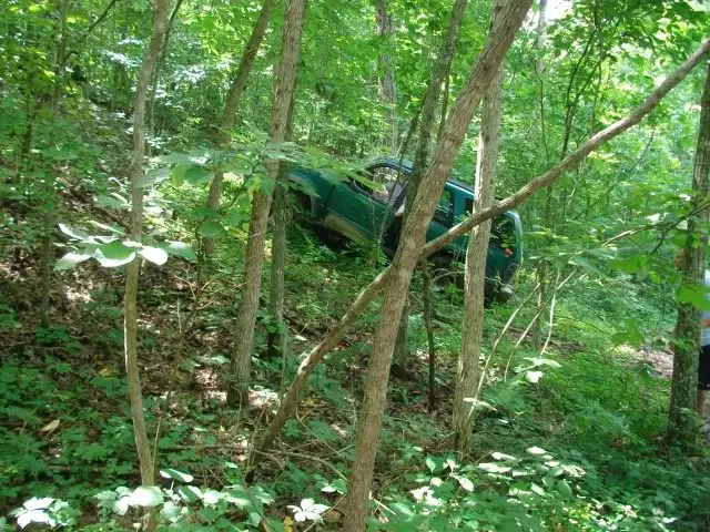 SANY0630.jpg