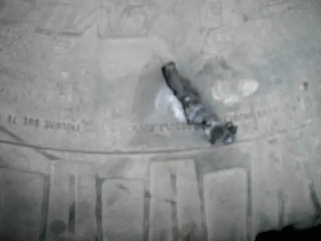 SANY0728.jpg
