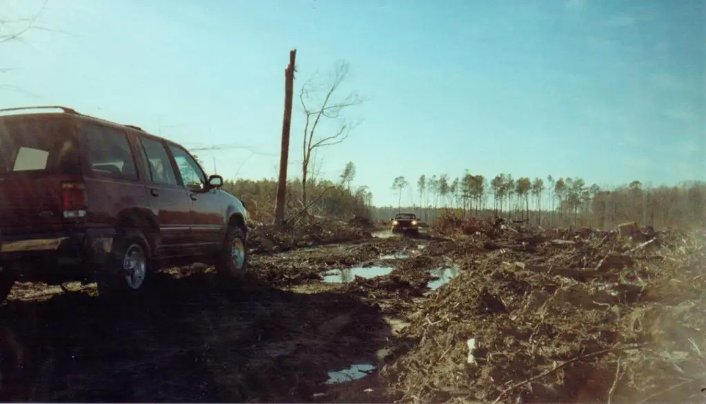 Scan6.jpg