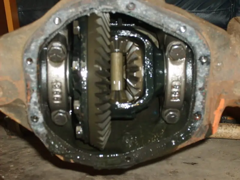 SD530847.jpg