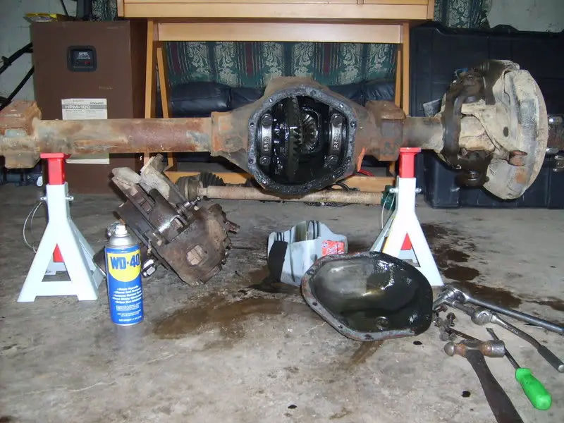 SD530848.jpg