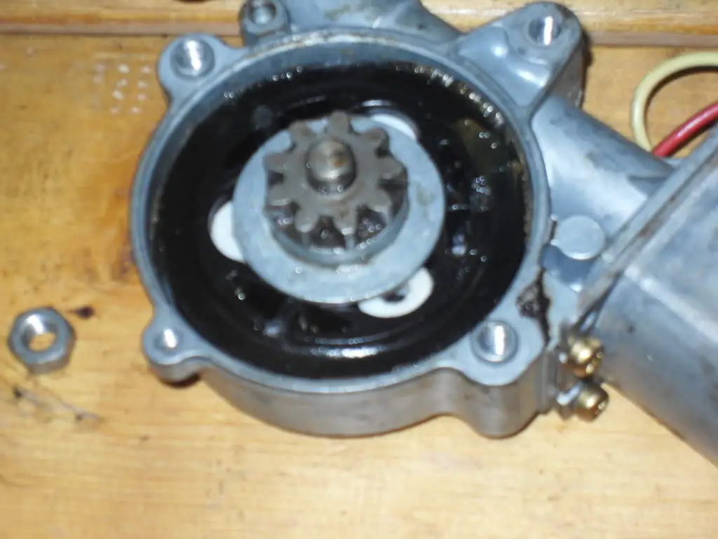 SDC11825.jpg