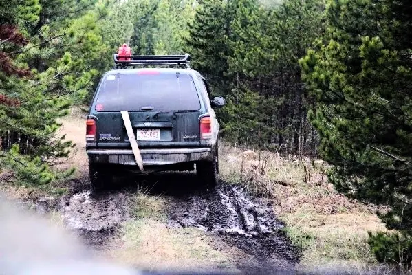 sexytrucktracks_zpskny67gen.jpg