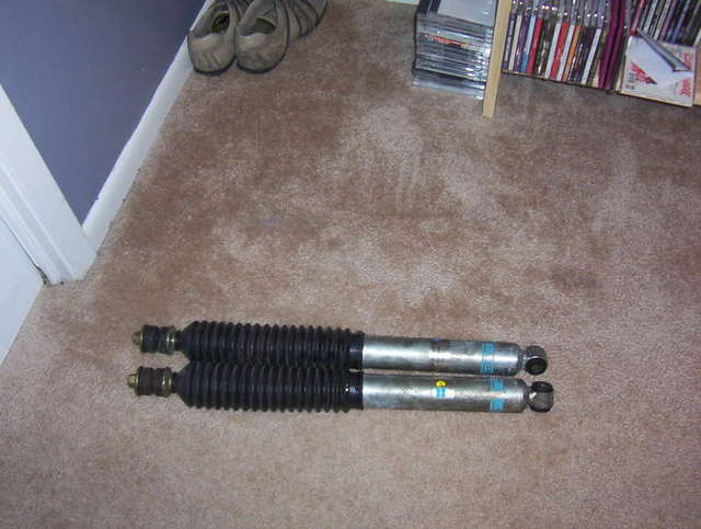shocks2.jpg
