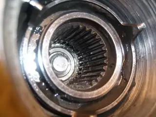 SL730276.jpg