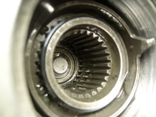 SL730277.jpg
