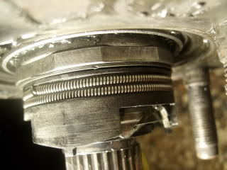 SL730279.jpg