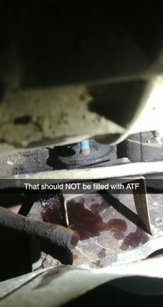 Snapchat-2058751630.jpg
