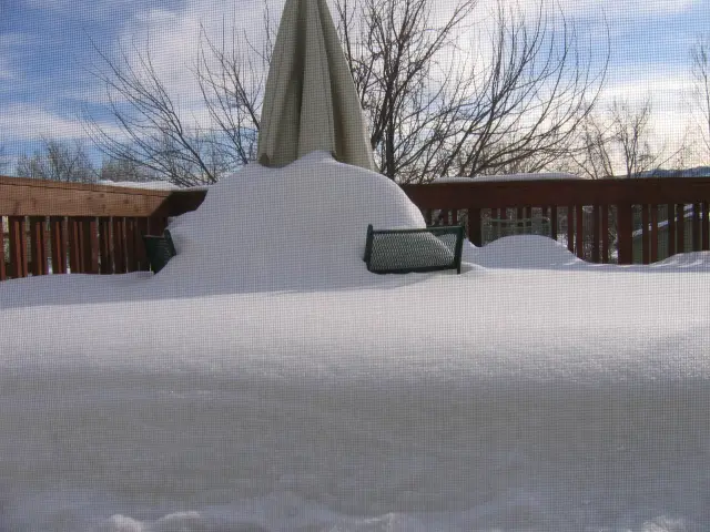 snow4.jpg