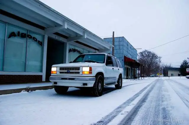 SnowCookevilleDec1220109.jpg