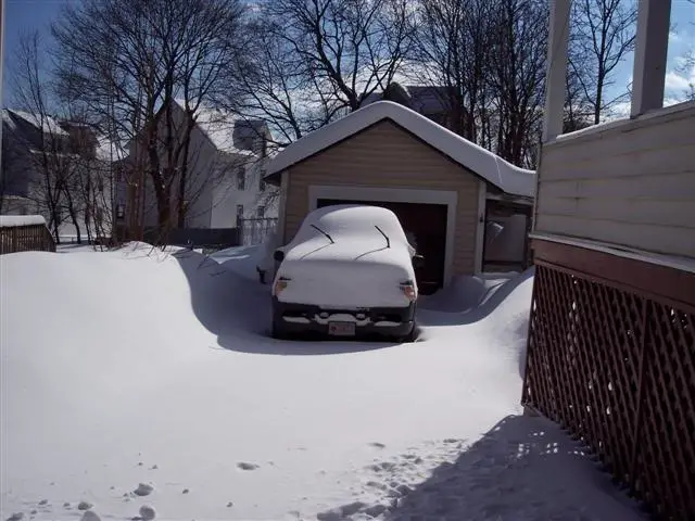 SnowfallDay1-27-11Custom.jpg