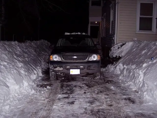 SnowfallNight1-27-11Custom.jpg