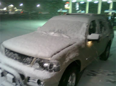 snowshot1.jpg