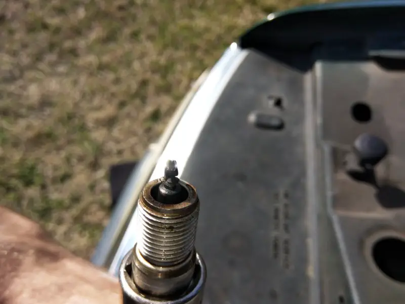 sparkplug_back2.jpg