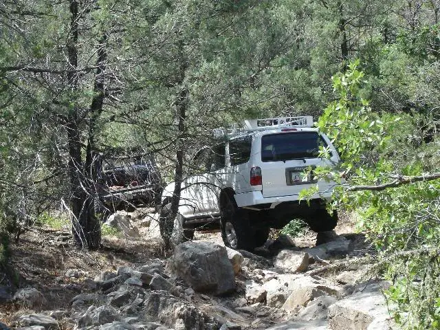 ss1.jpg