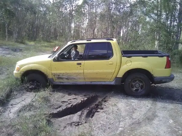 st1.jpg