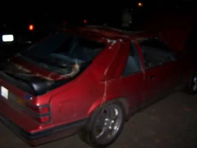stang3.jpg