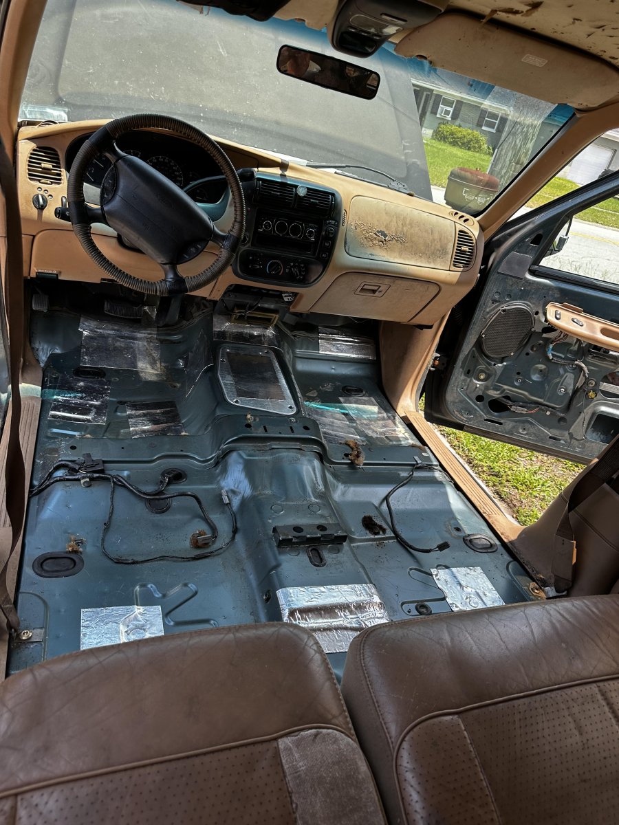 stripped.jpg
