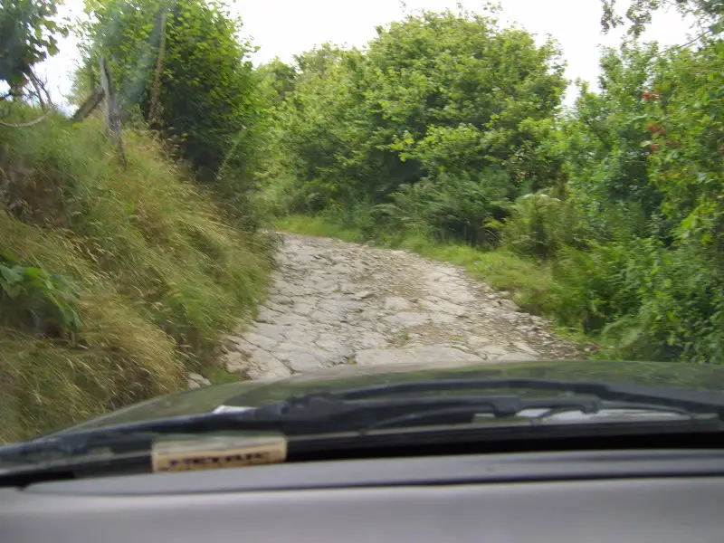 SV200119.jpg