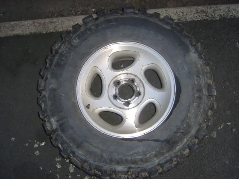 SV201008.jpg
