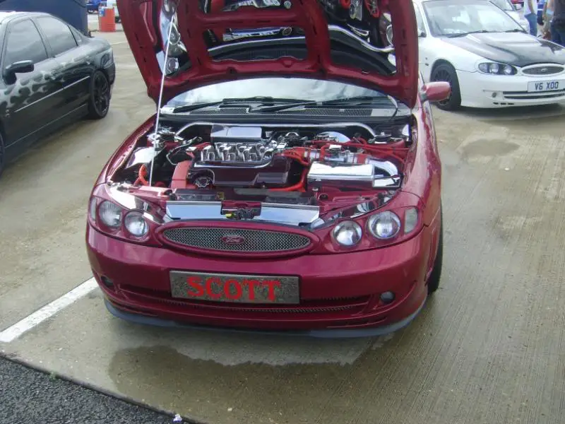 SV201055.jpg