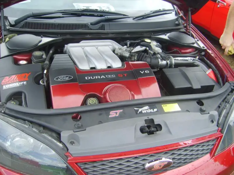 SV201066.jpg