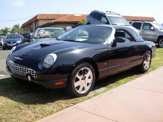 t-bird_2.jpg