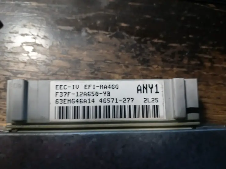 tag.jpg
