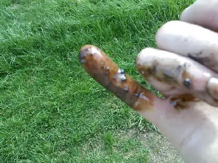 tcasefluid.jpg
