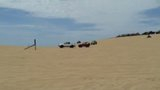 th_20140614_141612_zpshqwja7rw.jpg