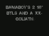 th_BTL18s.jpg