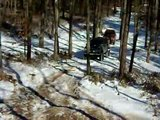 th_DSCN0084.jpg