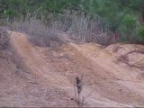 th_ExhaustClimb2.jpg