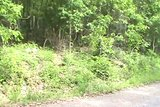 th_M2U00337-1.jpg