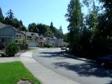 th_MOV00161.jpg