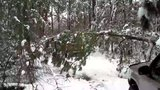 th_MVI_0373.jpg